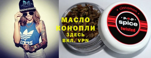 твердый Тобольск