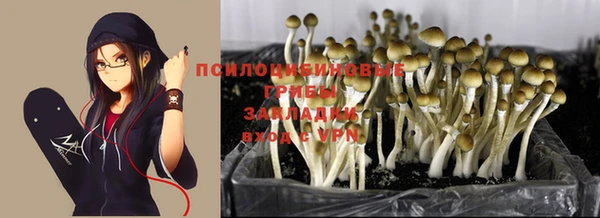 мяу мяу кристалл Баксан